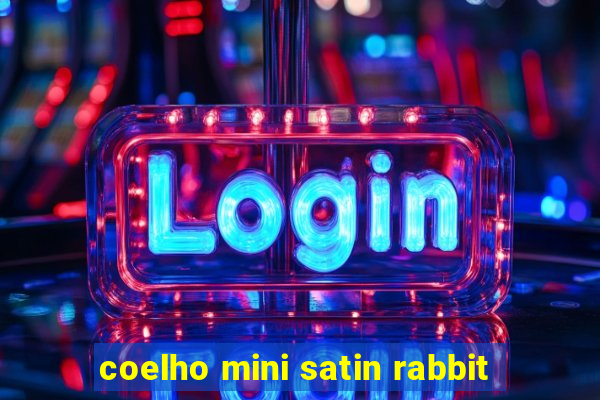 coelho mini satin rabbit